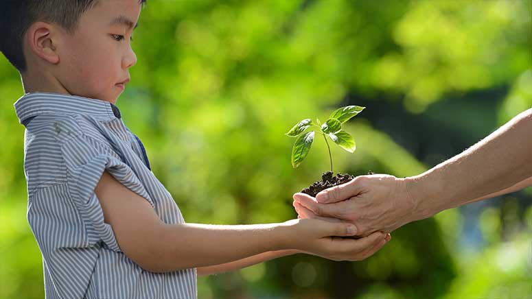 Adult handing boy a plant 